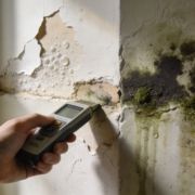 Wheeler Painting and Restoration Services | How to Repair Water Damaged Drywall in Your Puget Sound Home